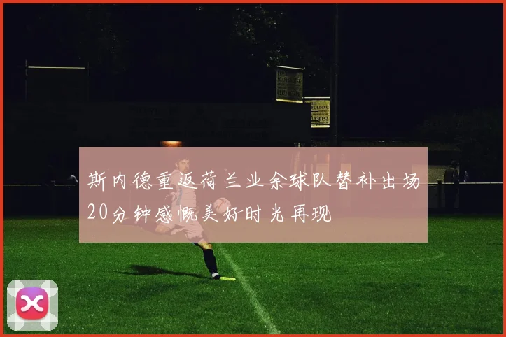 斯内德重返荷兰业余球队替补出场20分钟感慨美好时光再现