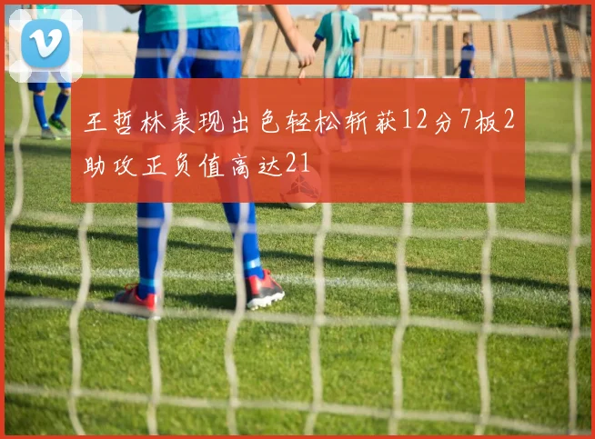 王哲林表现出色轻松斩获12分7板2助攻正负值高达21