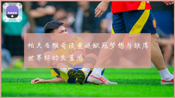 帕夫洛维奇谈重返欧冠梦想与缺席世界杯的失落感